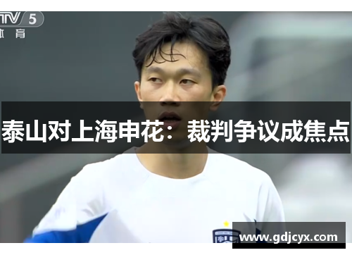 泰山对上海申花：裁判争议成焦点
