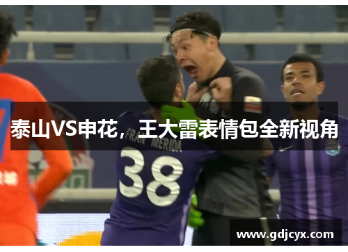 泰山VS申花，王大雷表情包全新视角