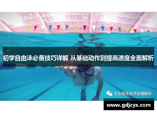 初学自由泳必备技巧详解 从基础动作到提高速度全面解析