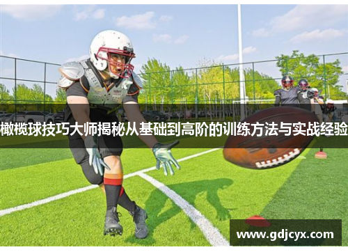 橄榄球技巧大师揭秘从基础到高阶的训练方法与实战经验